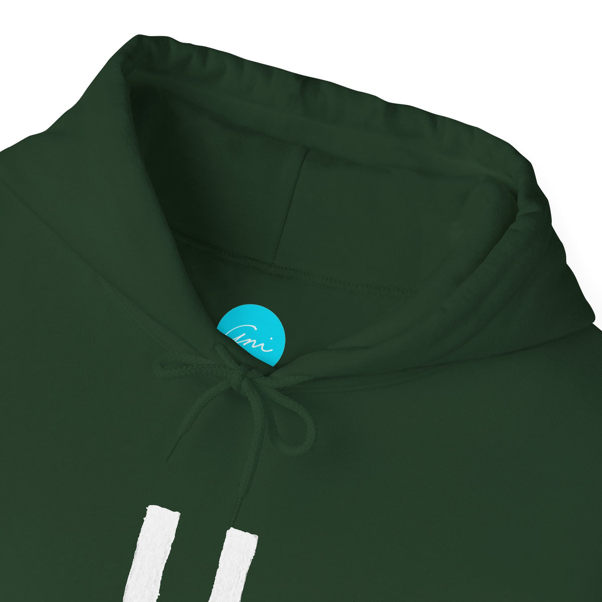 Custom Armenian Letter Hoodie