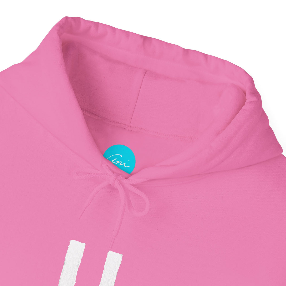 Custom Armenian Letter Hoodie