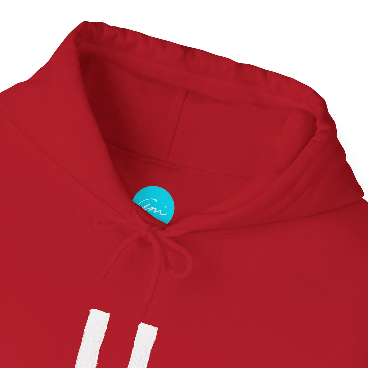 Custom Armenian Letter Hoodie