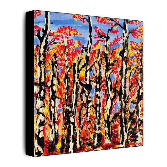 Birch Trees Canvas Print