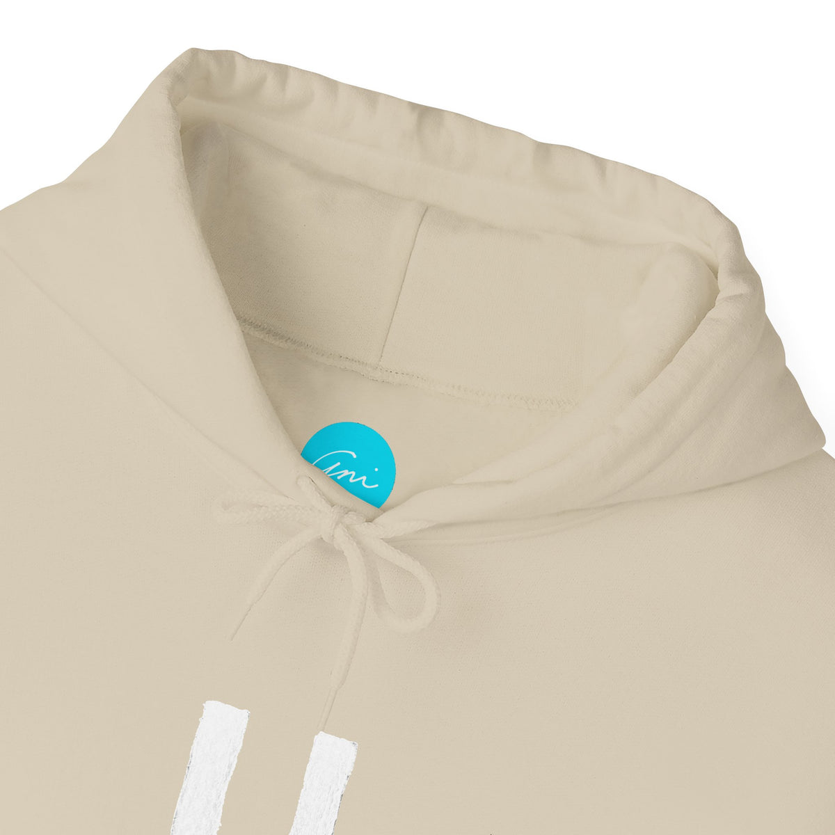 Custom Armenian Letter Hoodie