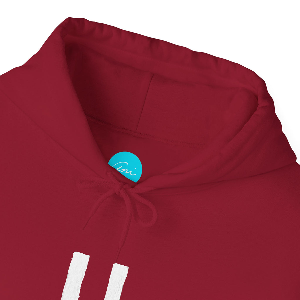 Custom Armenian Letter Hoodie