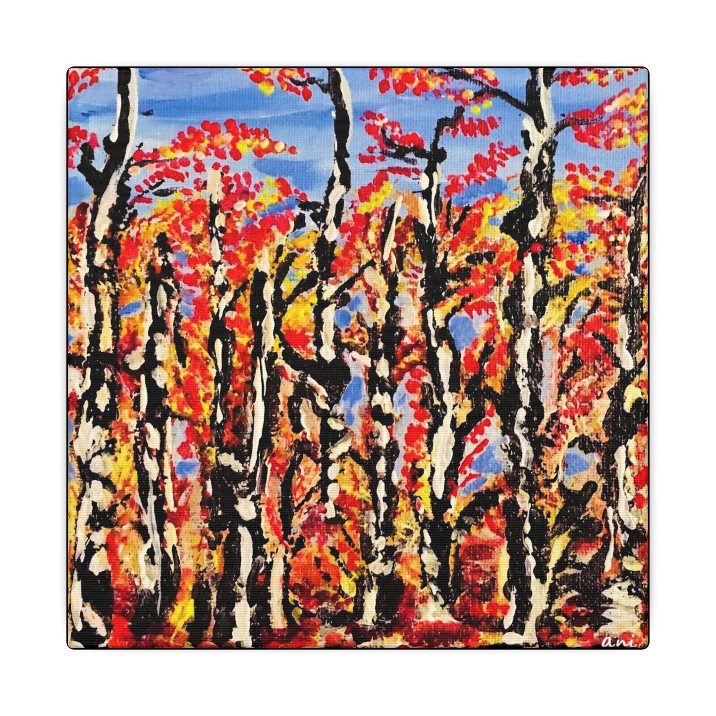 Birch Trees Canvas Print