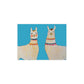 Two Llamas Turquoise Postcard Bundles with Envelopes
