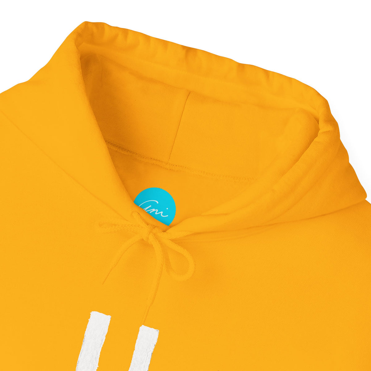 Custom Armenian Letter Hoodie