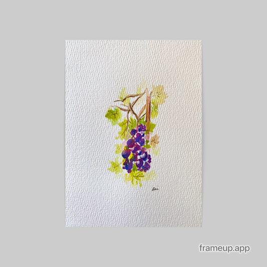 Grapevine Original Watercolor