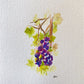 Grapevine Original Watercolor
