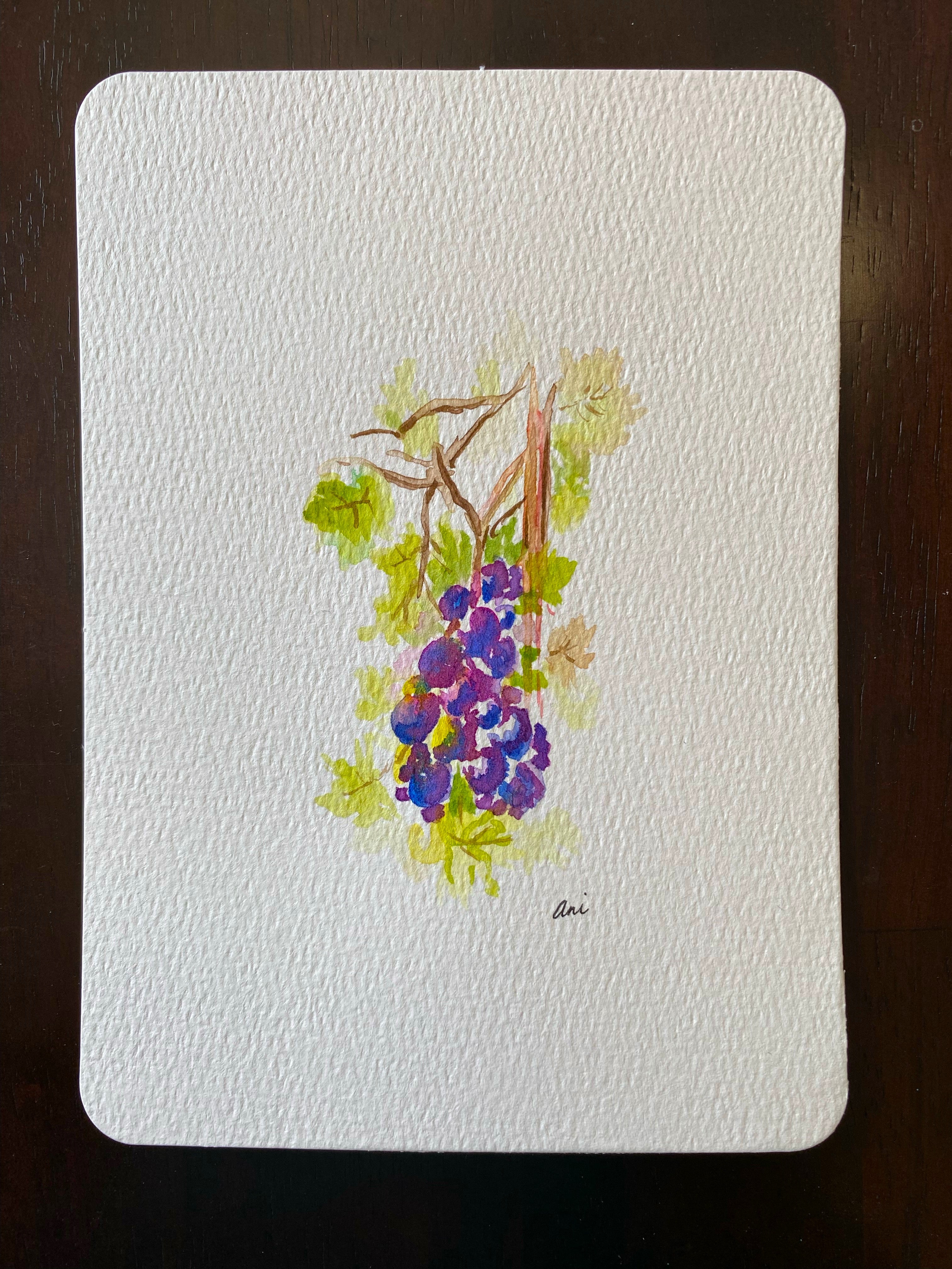 image3.jpg?v=1727108259&width=1946