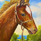Horse Original Painting